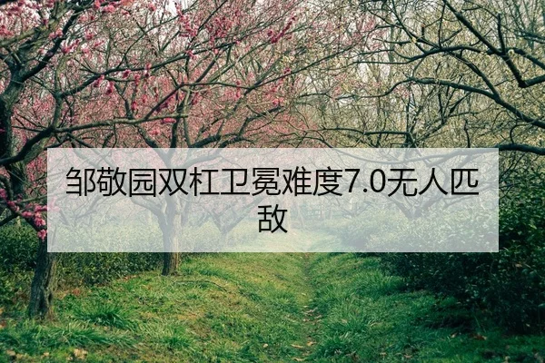zou-jing-yuan-shuang-gang-wei-mian-nan-du-wu-ren-pi-di-2-380.jpg