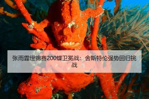 zhang-yu-fei-shi-jin-sai-die-wei-mian-zhan-she-si-te-lun-qiang-shi-hui-gui-tiao-zhan-2-222.jpg