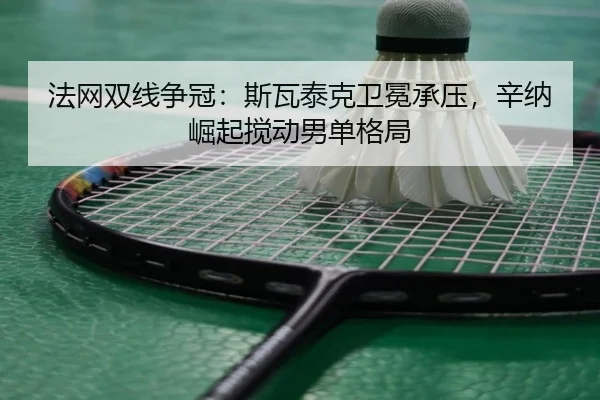 fa-wang-shuang-xian-zheng-guan-si-wa-tai-ke-wei-mian-cheng-ya-xin-na-jue-qi-jiao-dong-nan-dan-ge-ju-3-371.jpg